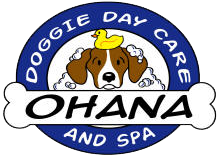 Ohana Doggie Daycare